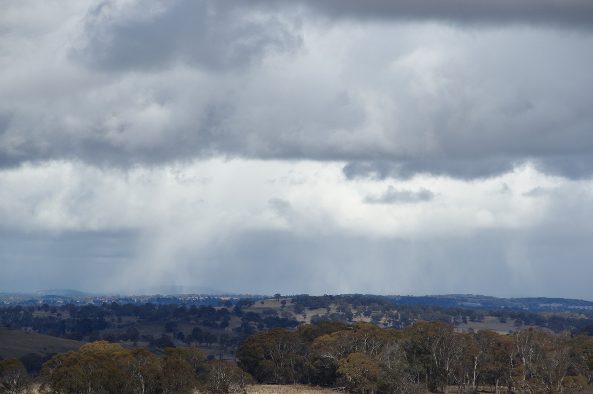 cumulus mediocris : Ben Lomond, NSW   28 July 2008