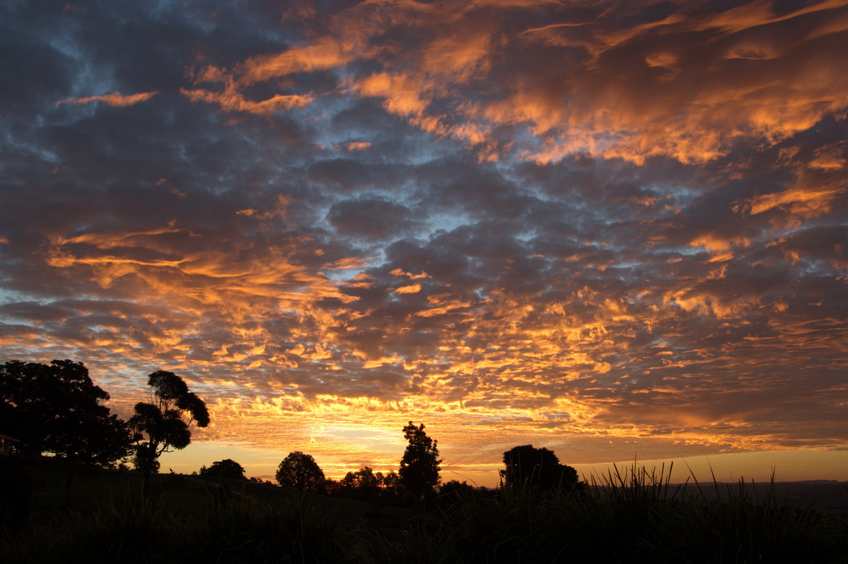 sunset sunset_pictures : McLeans Ridges, NSW   3 August 2008