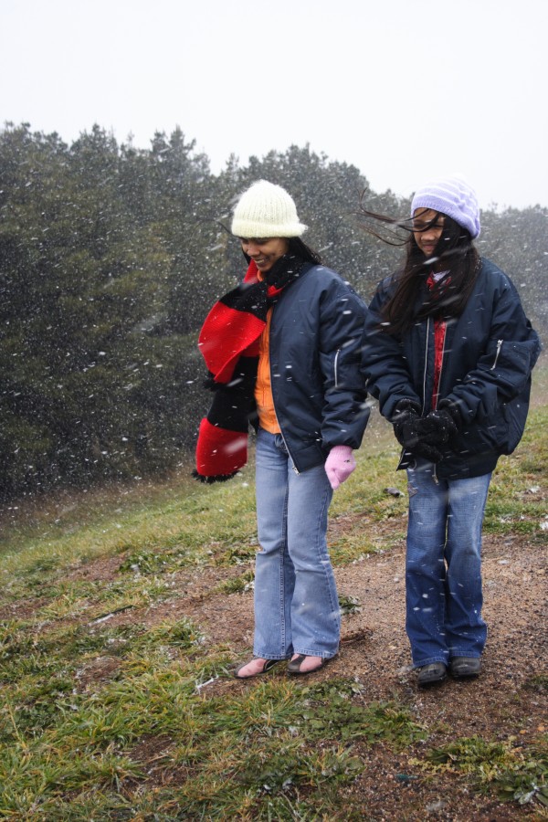 snow snow_pictures : Oberon, NSW   10 August 2008