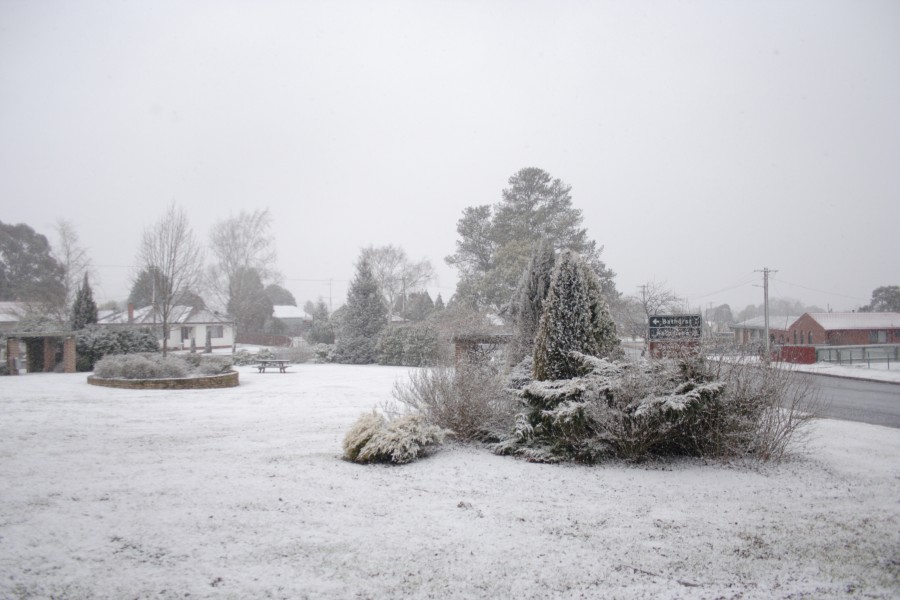 snow snow_pictures : Oberon, NSW   10 August 2008