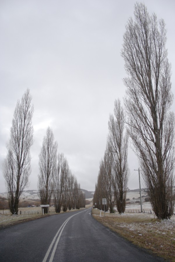 snow snow_pictures : Oberon, NSW   10 August 2008