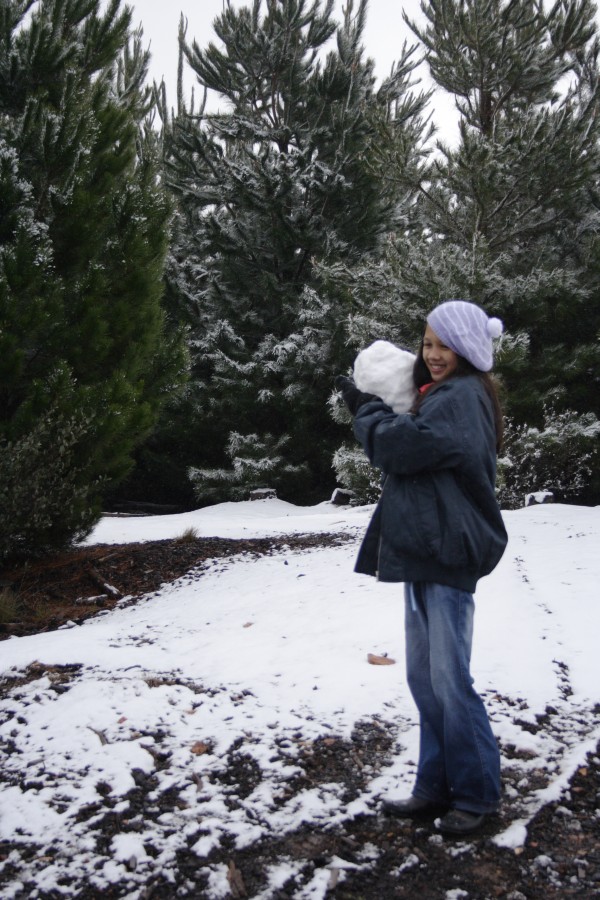 snow snow_pictures : S of Shooters Hill, NSW   10 August 2008