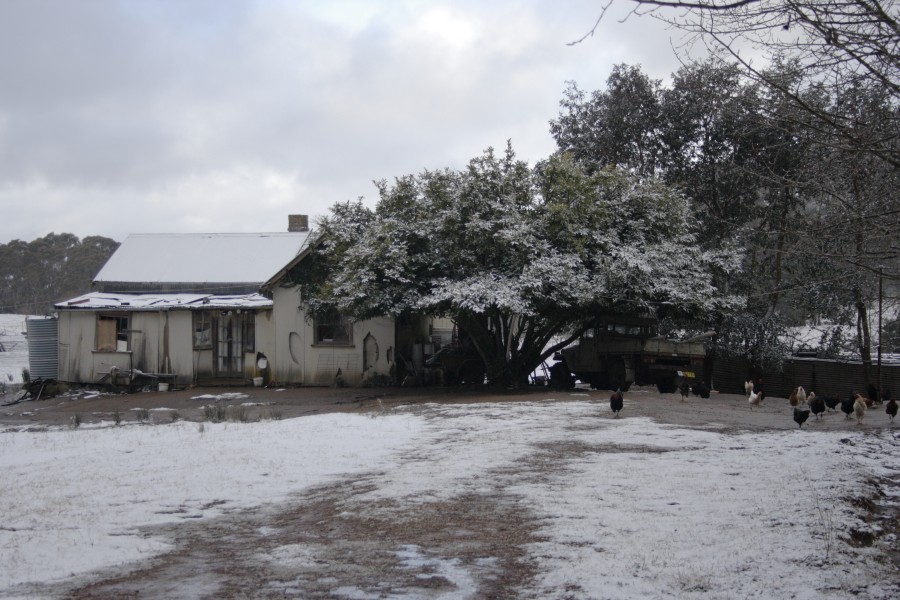 snow snow_pictures : Mt Bindo, NSW   10 August 2008