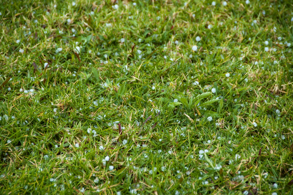 hailstones hail_stones : McLeans Ridges, NSW   27 August 2008