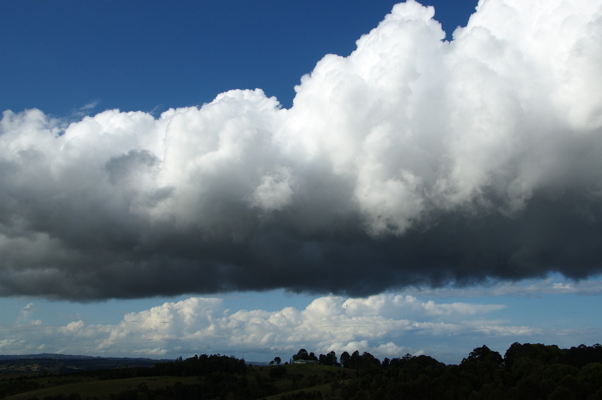 cumulus congestus : McLeans Ridges, NSW   5 September 2008