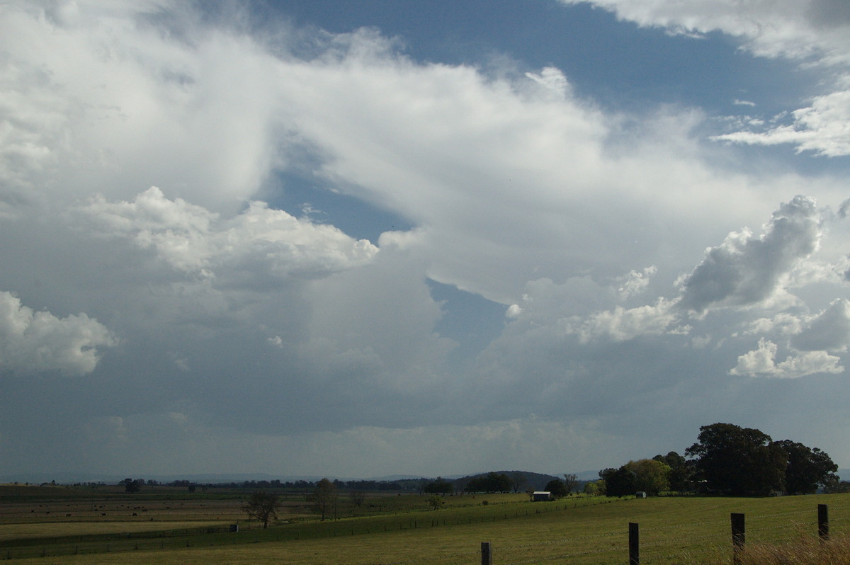 thunderstorm cumulonimbus_incus : near Kyogle, NSW   20 September 2008