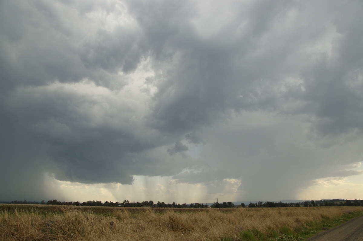 cumulonimbus thunderstorm_base : near Kyogle, NSW   20 September 2008