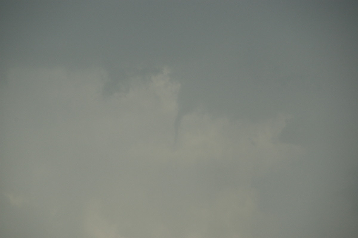 tornadoes funnel_tornado_waterspout : near Kyogle, NSW   20 September 2008