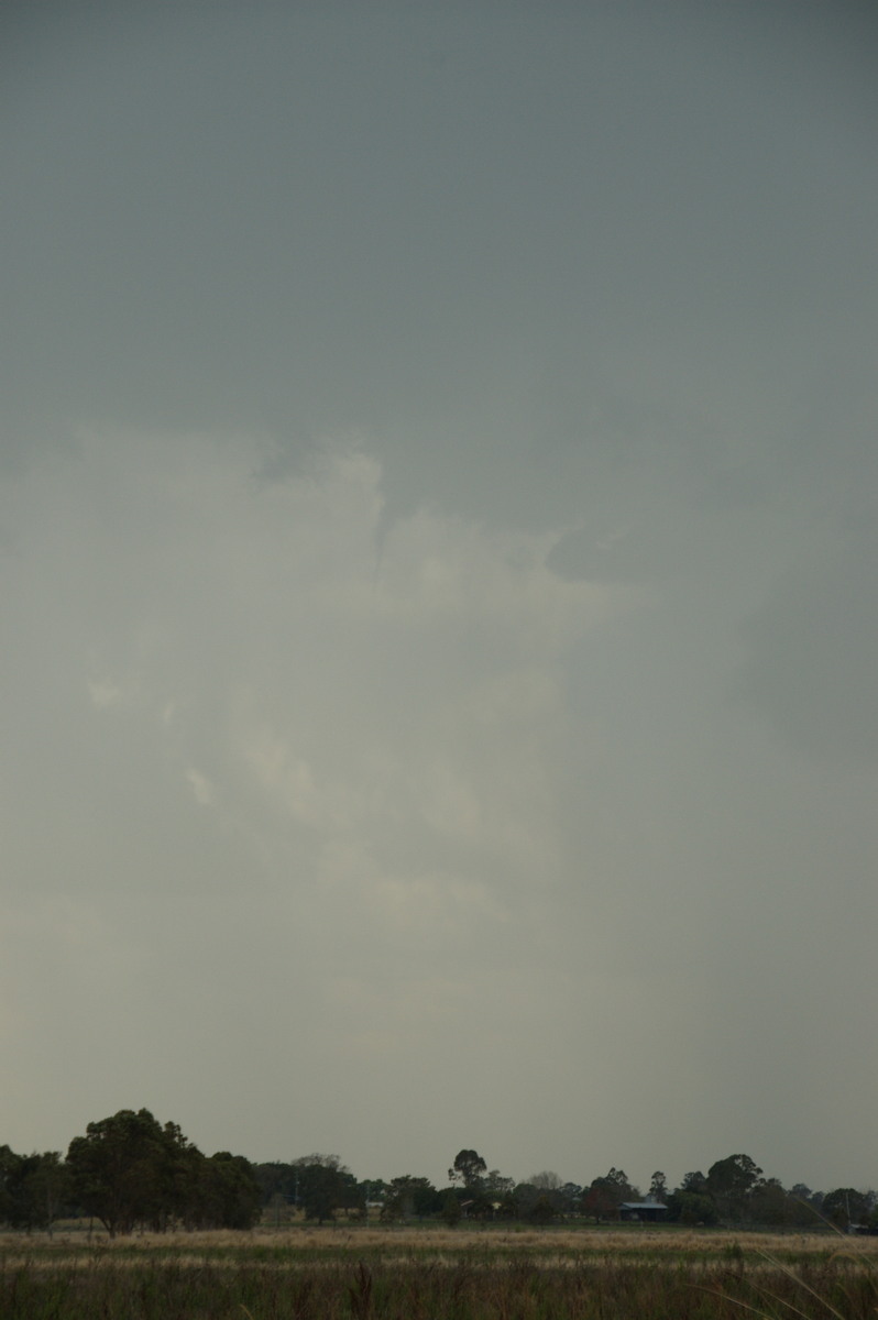 tornadoes funnel_tornado_waterspout : near Kyogle, NSW   20 September 2008