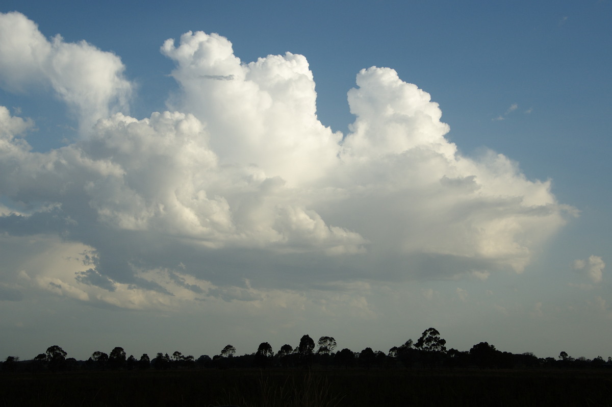 cumulus congestus : near Casino, NSW   20 September 2008