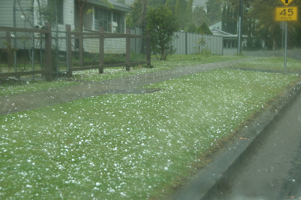 hailstones hail_stones : Kyogle, NSW   20 September 2008