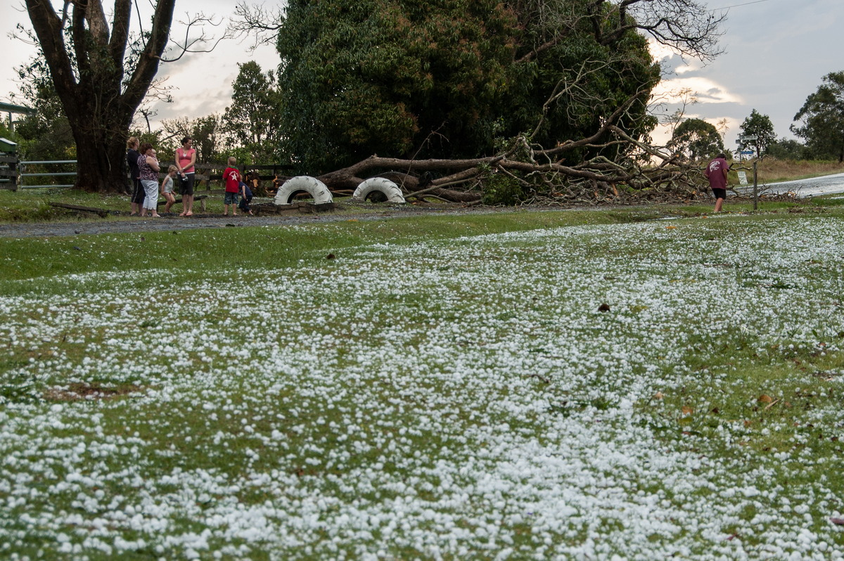 hailstones hail_stones : Geneva, NSW   20 September 2008