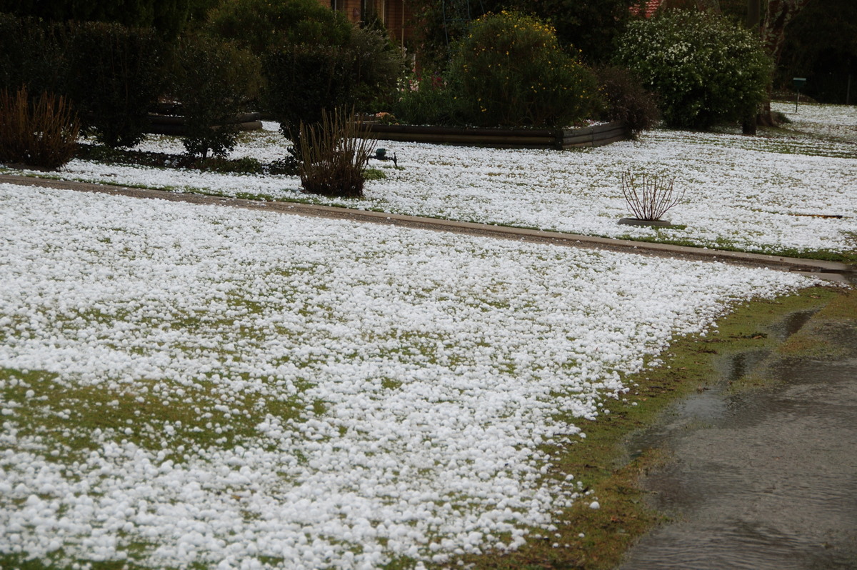 hailstones hail_stones : Geneva, NSW   20 September 2008