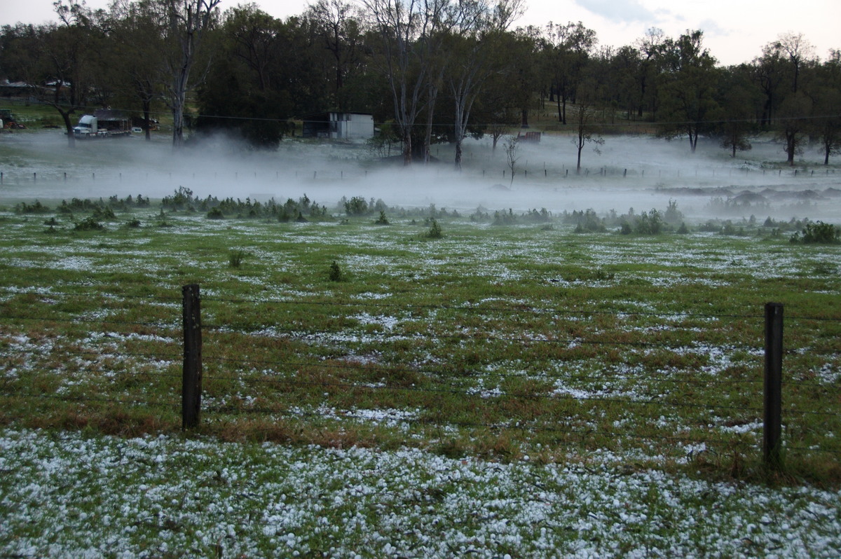 fogmist fog_mist_frost : Geneva, NSW   20 September 2008