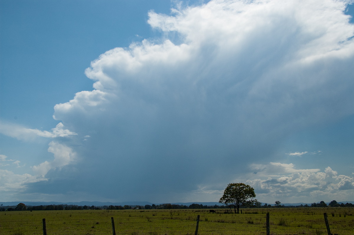 favourites michael_bath : N of Casino, NSW   21 September 2008