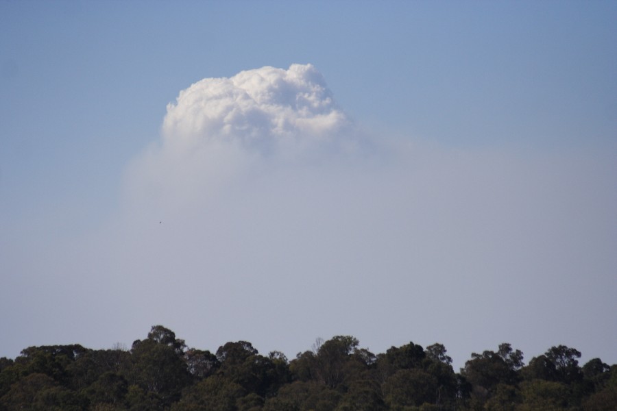 cumulus pyrocumulus : Schofields, NSW   1 October 2008