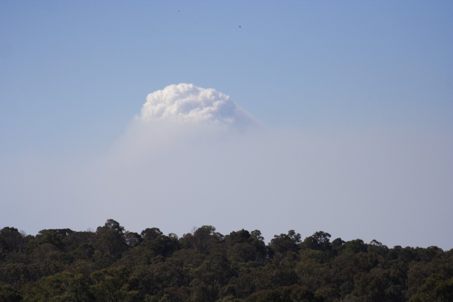 cumulus pyrocumulus : Schofields, NSW   1 October 2008