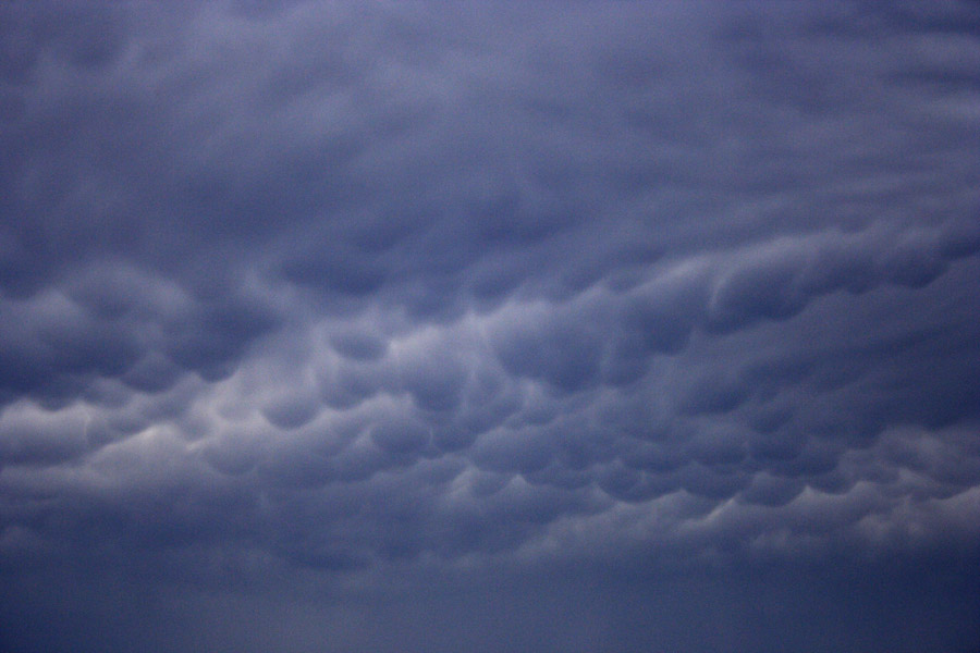 mammatus mammatus_cloud : Schofields, NSW   4 October 2008