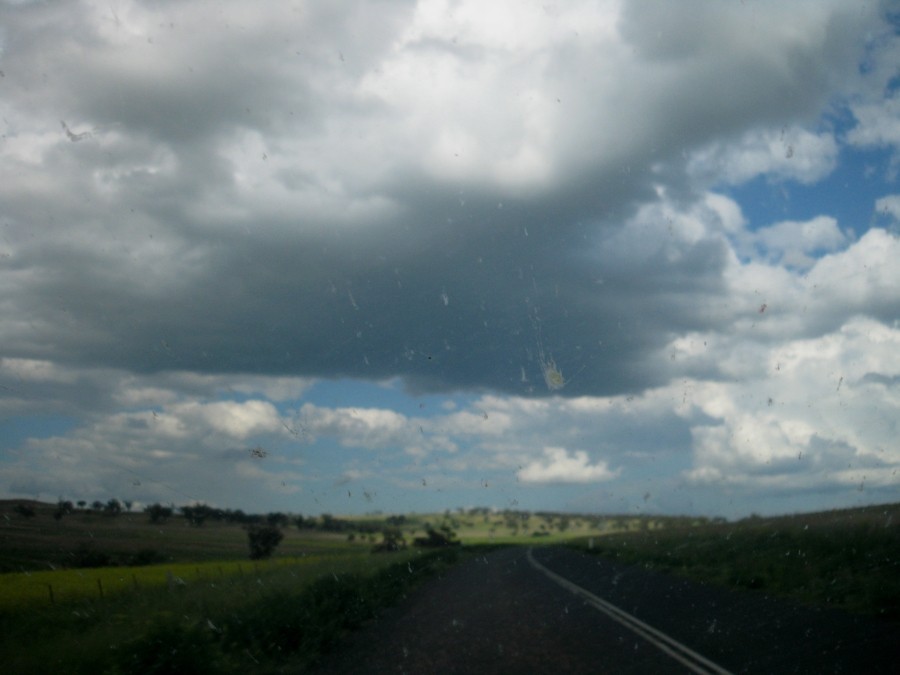 cumulus mediocris : Merriwa, NSW   5 October 2008