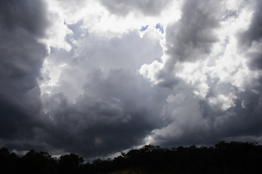 thunderstorm cumulonimbus_calvus : N of Ulan, NSW   10 October 2008