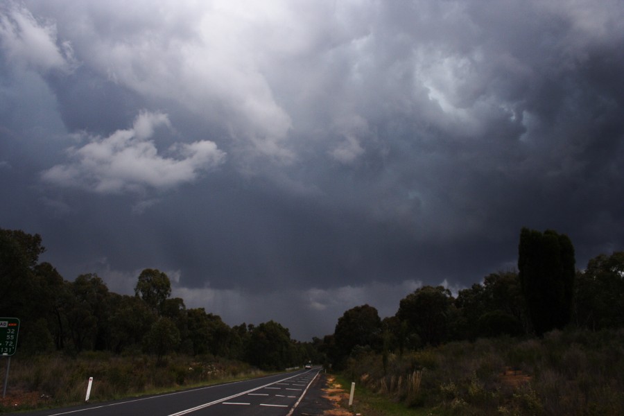 cumulonimbus thunderstorm_base : N of Ulan, NSW   10 October 2008