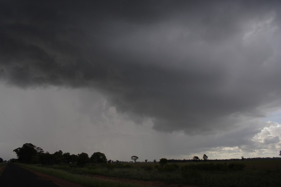 raincascade precipitation_cascade : near Gilgandra, NSW   11 October 2008