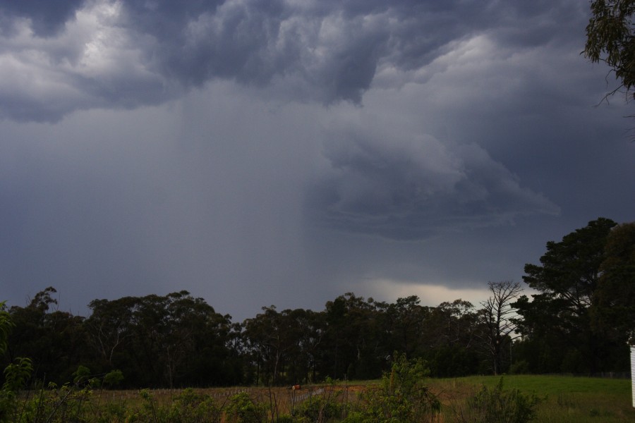cumulonimbus thunderstorm_base : Glenorie, NSW   19 October 2008