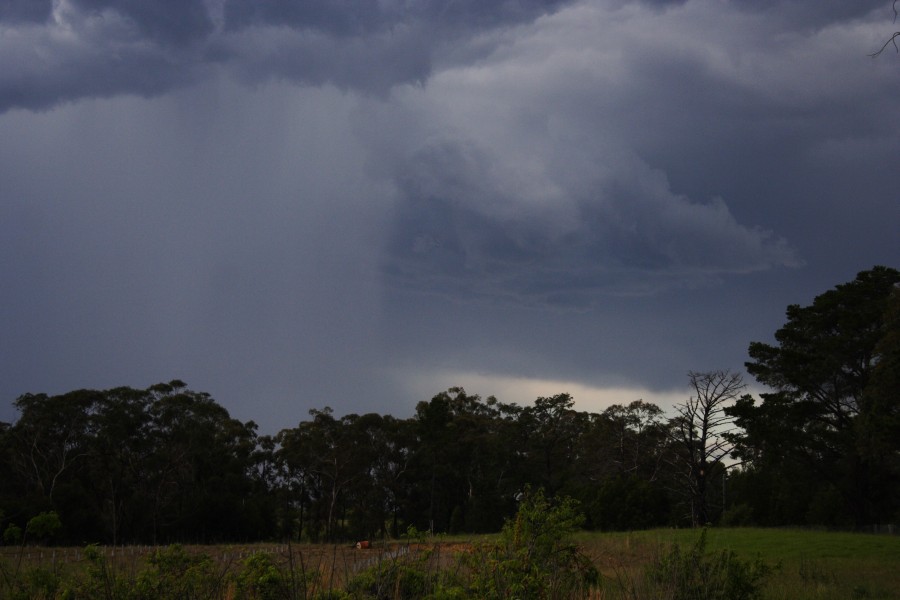 cumulonimbus thunderstorm_base : Glenorie, NSW   19 October 2008