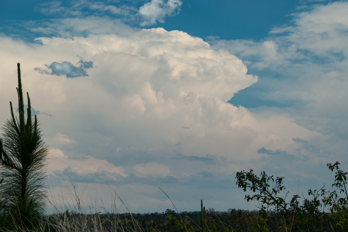 updraft thunderstorm_updrafts : Whiporie, NSW   21 October 2008