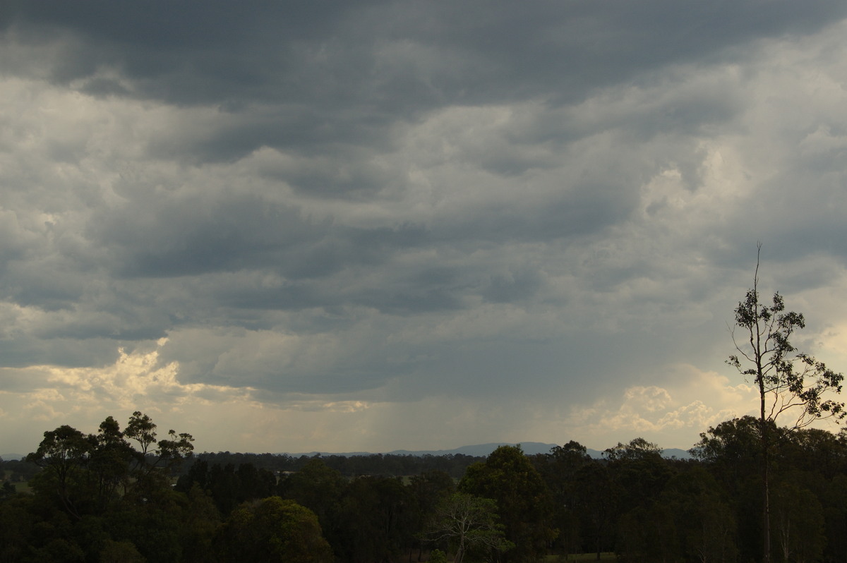 cumulonimbus thunderstorm_base : Junction Hill, NSW   21 October 2008