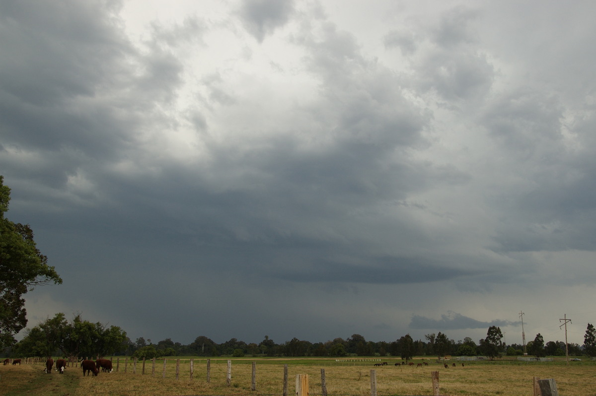 cumulonimbus thunderstorm_base : Grafton, NSW   21 October 2008