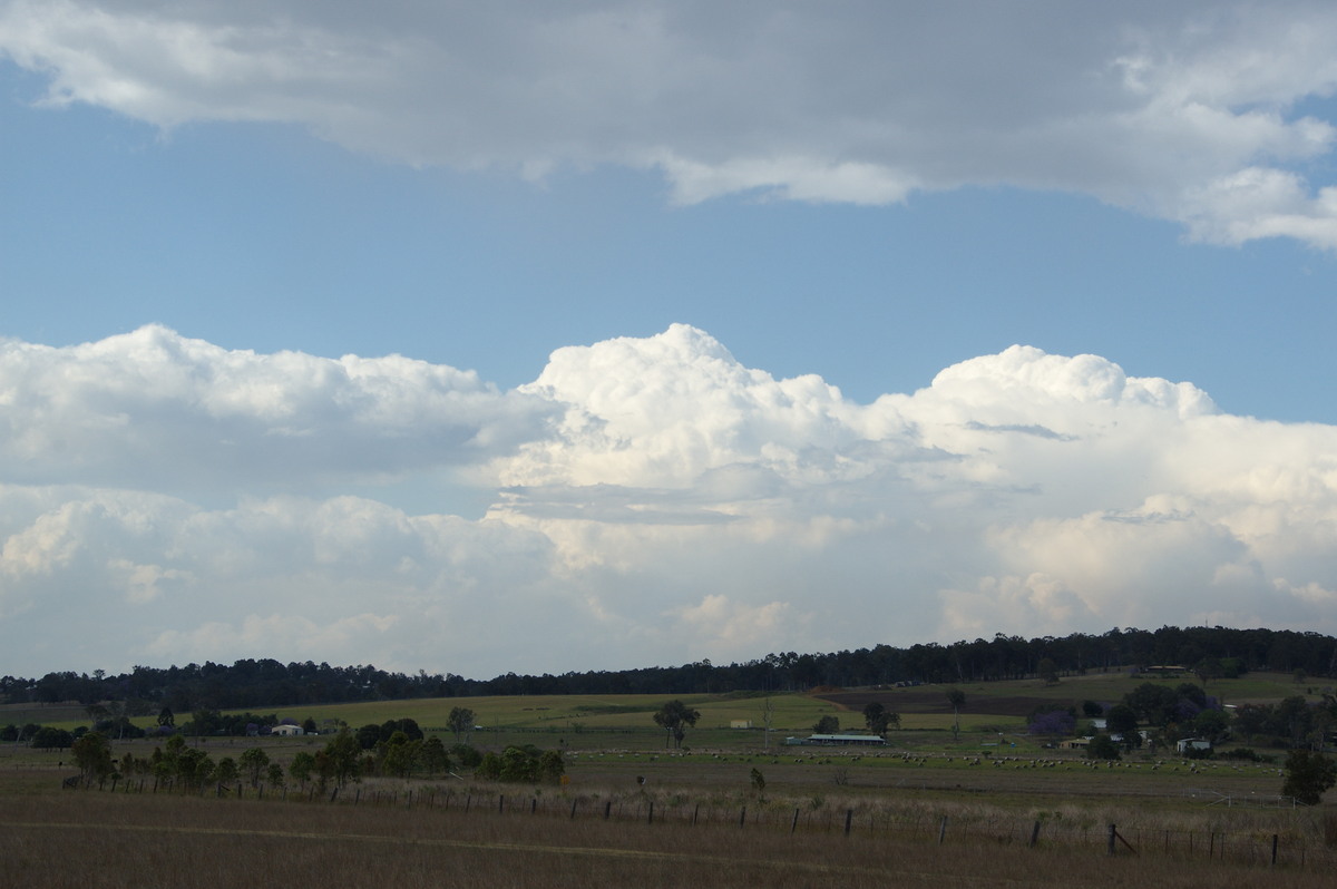 thunderstorm cumulonimbus_calvus : near Beaudesert, QLD   25 October 2008