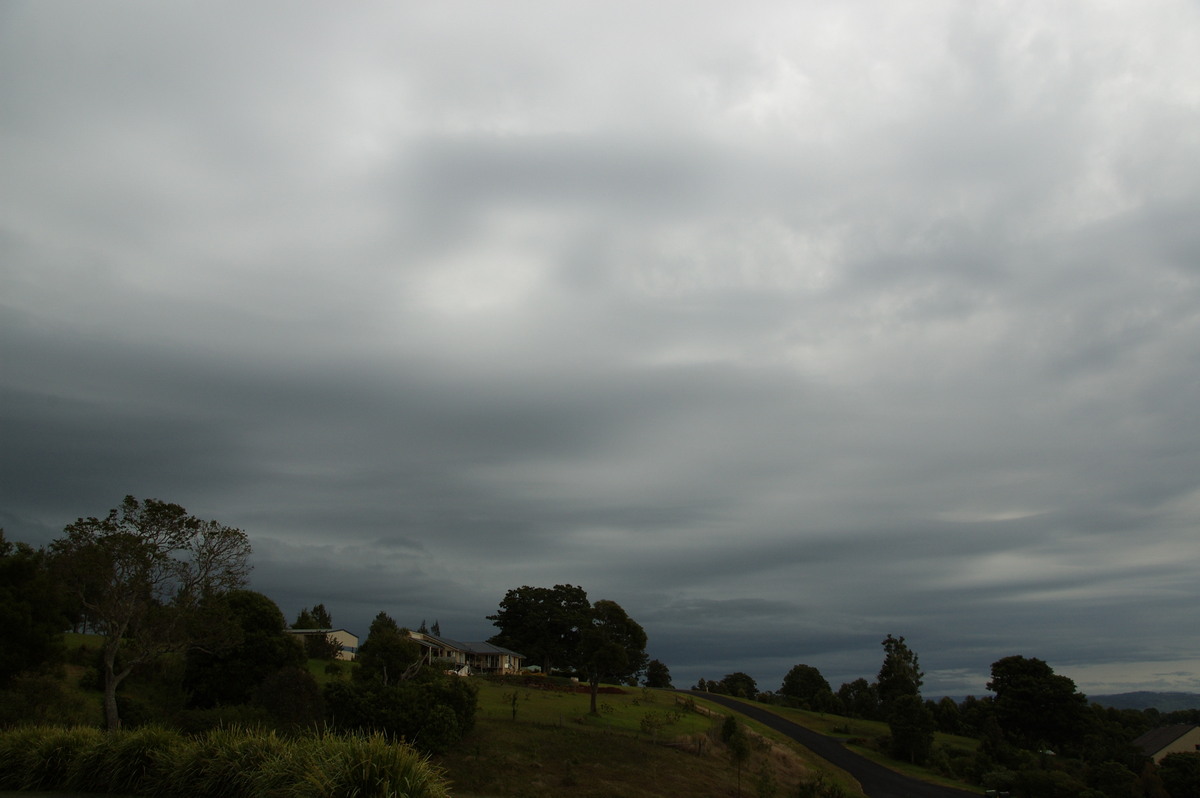 stratus stratus_cloud : McLeans Ridges, NSW   3 November 2008