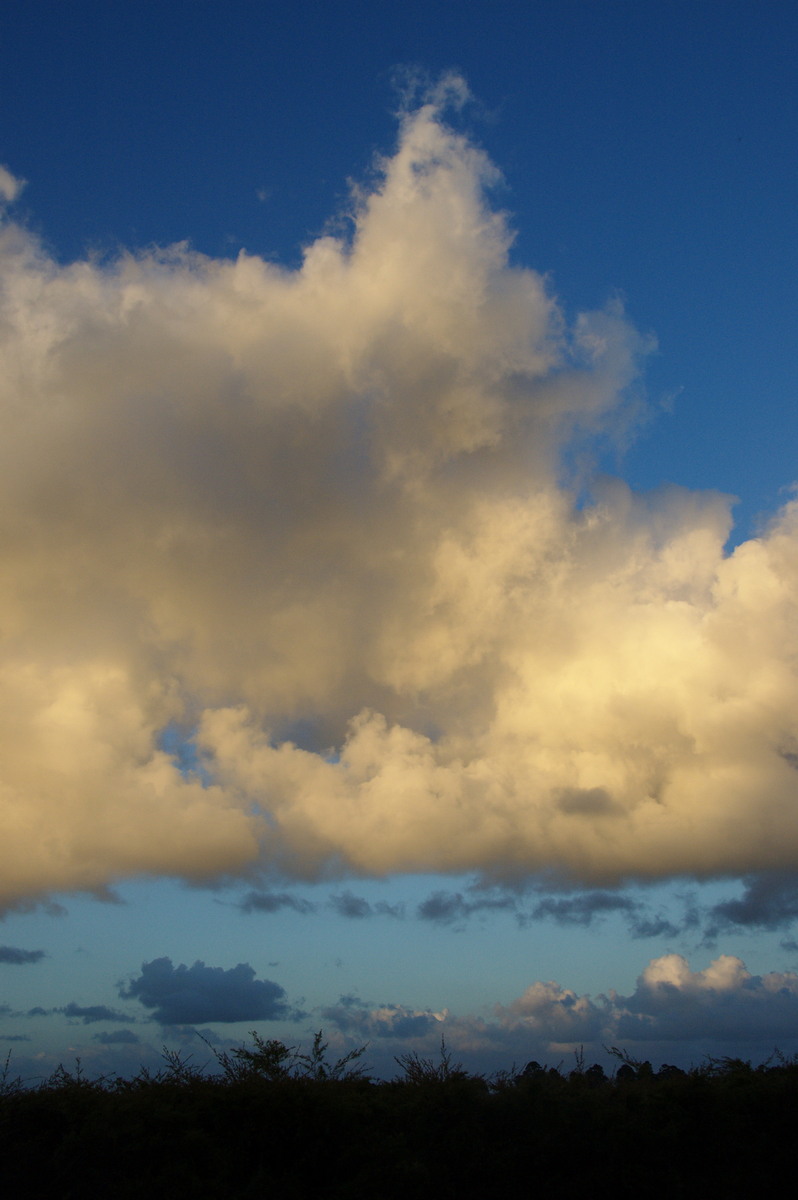 cumulus mediocris : McLeans Ridges, NSW   11 November 2008