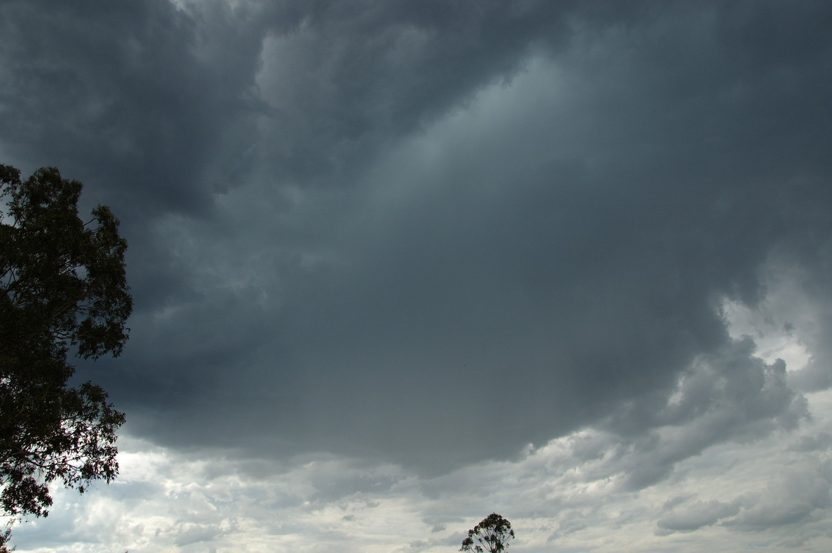 cumulonimbus thunderstorm_base : Whiporie, NSW   15 November 2008