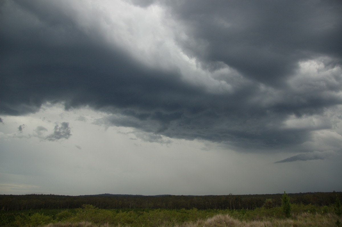 cumulonimbus thunderstorm_base : Whiporie, NSW   15 November 2008