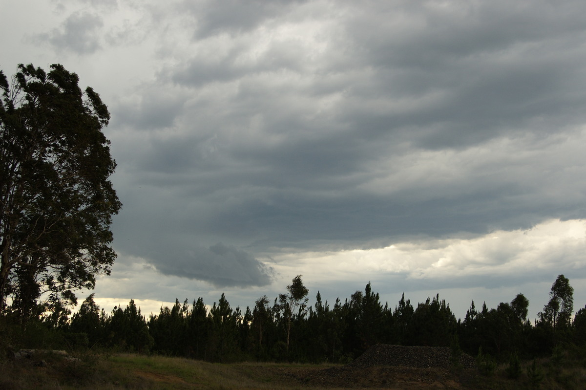 cumulonimbus thunderstorm_base : Whiporie, NSW   15 November 2008