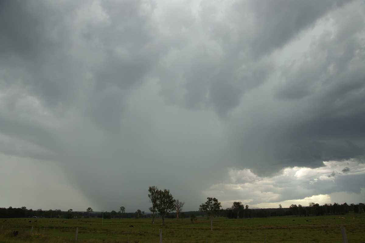 raincascade precipitation_cascade : Whiporie, NSW   15 November 2008