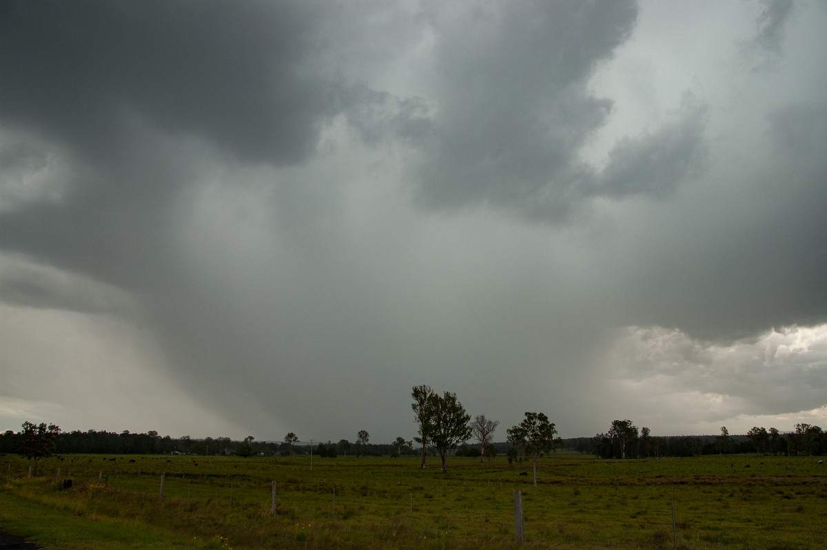 raincascade precipitation_cascade : Whiporie, NSW   15 November 2008