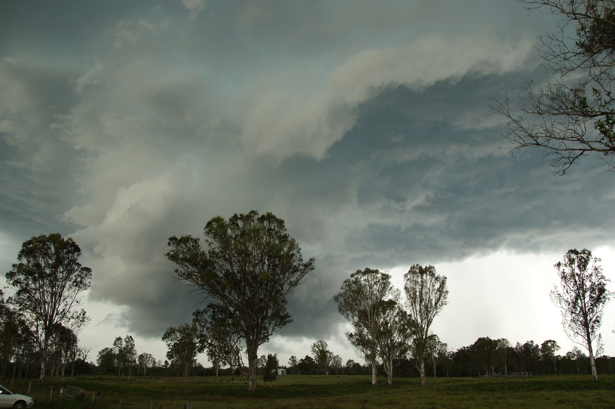 wallcloud thunderstorm_wall_cloud : Myrtle Creek, NSW   15 November 2008