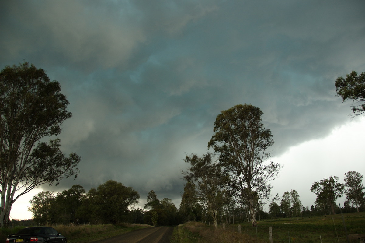 cumulonimbus thunderstorm_base : Myrtle Creek, NSW   15 November 2008