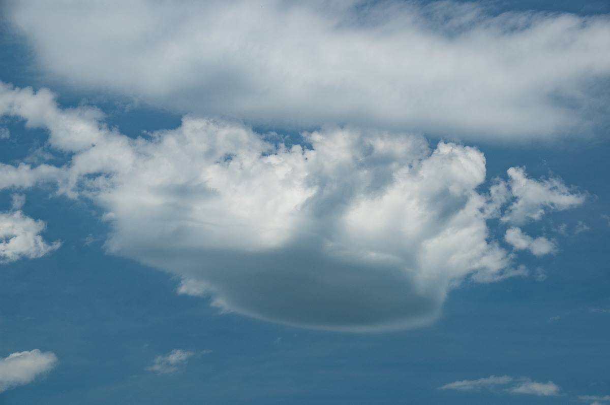 altocumulus castellanus : Cedar Point, NSW   16 November 2008