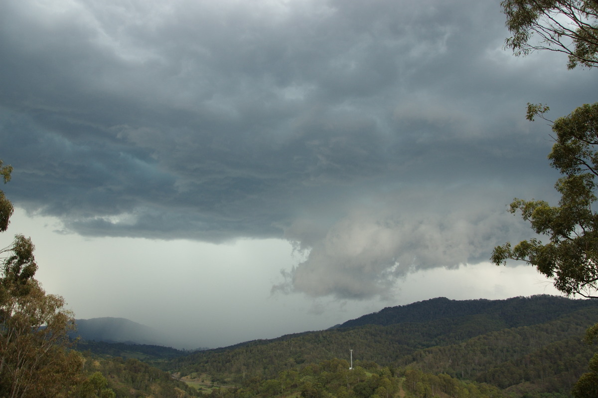 cumulonimbus thunderstorm_base : Cougal, NSW   16 November 2008