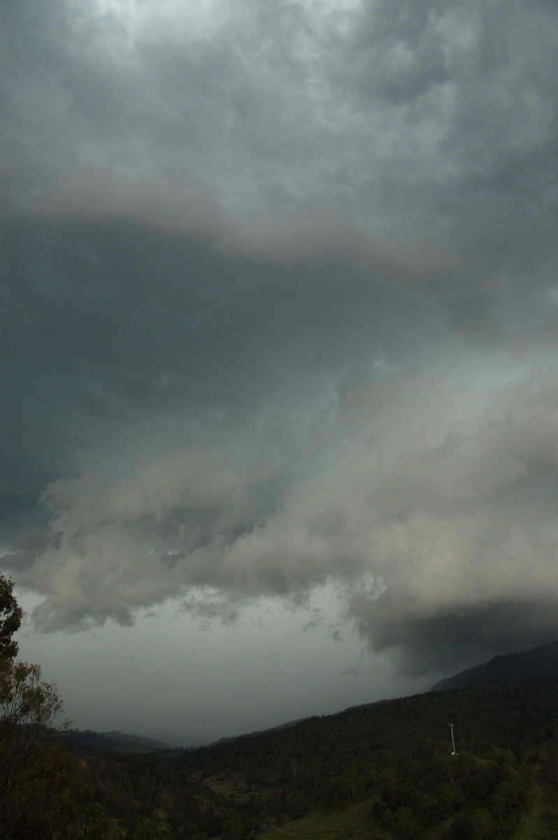 cumulonimbus thunderstorm_base : Cougal, NSW   16 November 2008