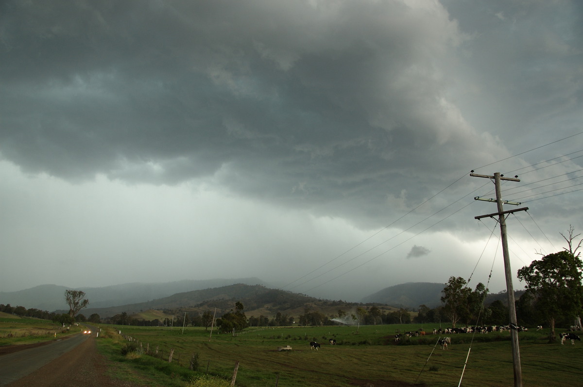 cumulonimbus thunderstorm_base : Running Creek, QLD   16 November 2008