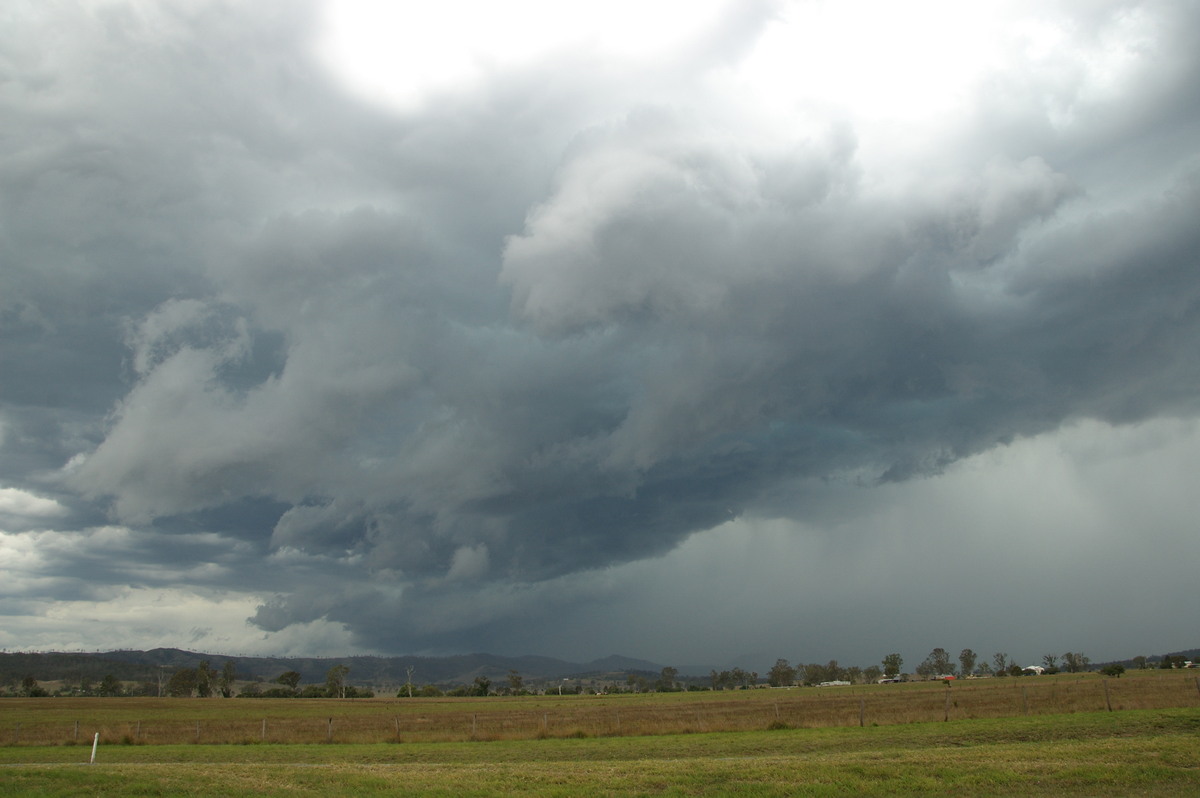 raincascade precipitation_cascade : Laravale, QLD   16 November 2008