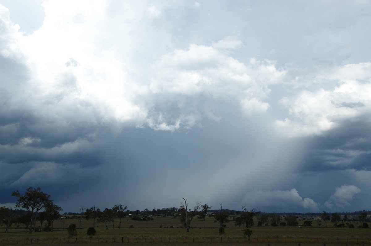 raincascade precipitation_cascade : Beaudesert, QLD   16 November 2008