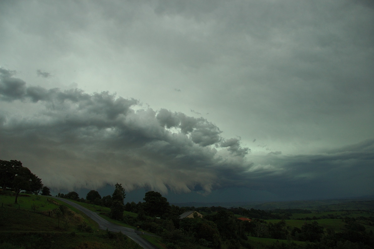 shelfcloud shelf_cloud : McLeans Ridges, NSW   20 November 2008