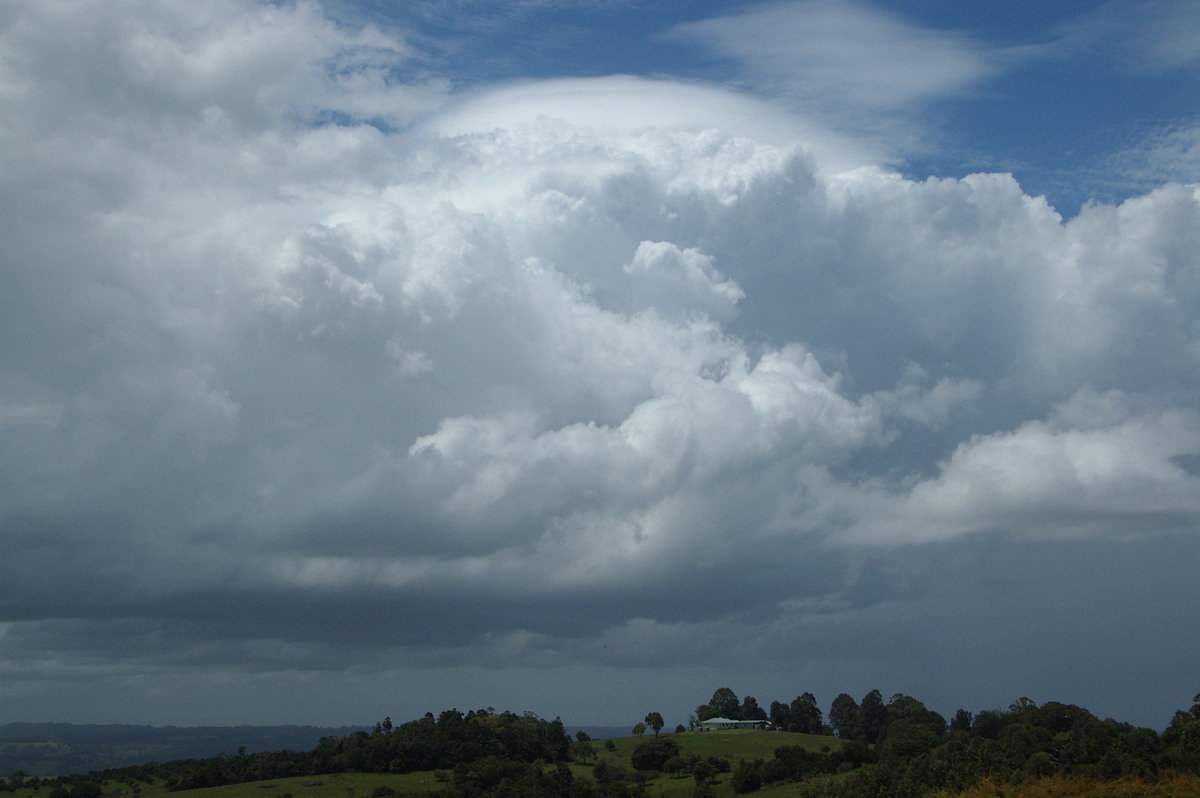 pileus pileus_cap_cloud : McLeans Ridges, NSW   25 November 2008