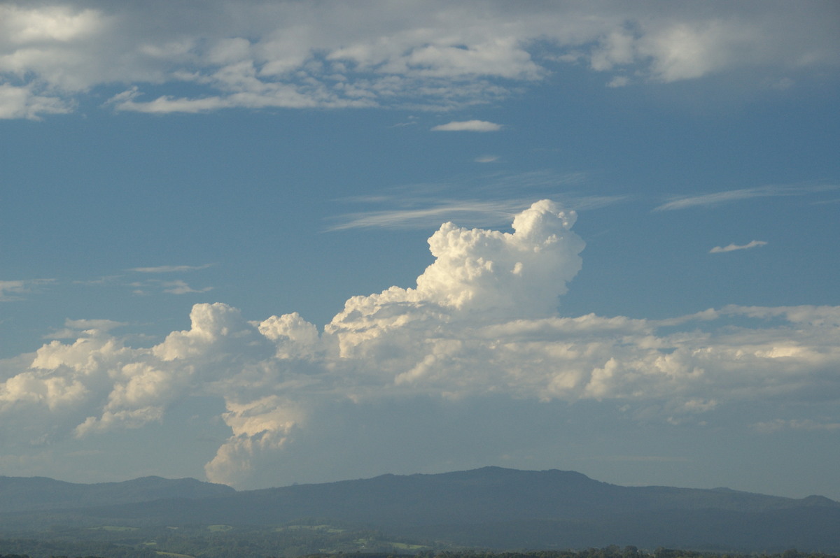 cumulus congestus : McLeans Ridges, NSW   2 December 2008